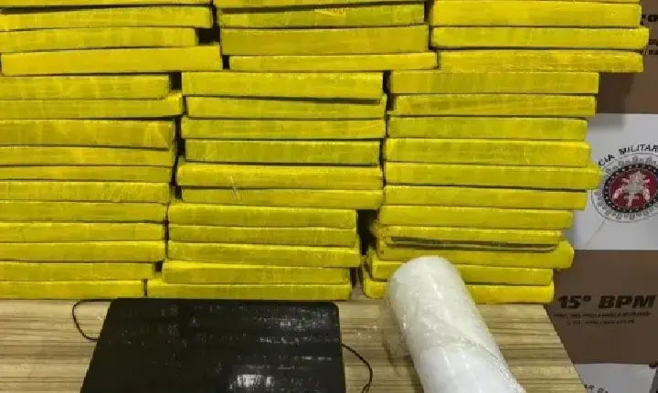 PM apreende 60 quilos de maconha durante operação no sul da Bahia