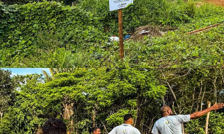 Prefeitura de Itacaré realiza ação contra invasões em área ambiental no Km 06