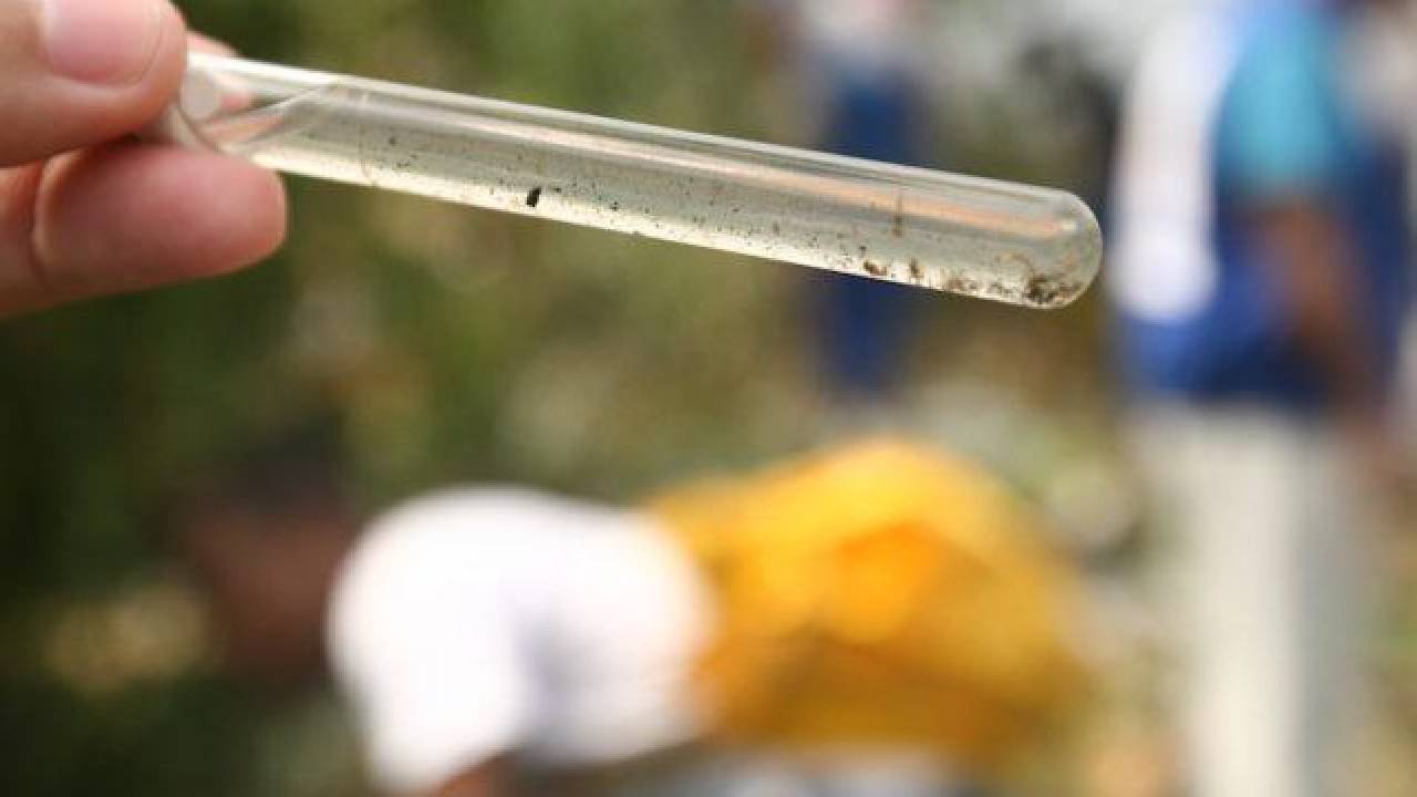 Seis cidades da Bahia estão em epidemia de dengue, confirma Sesab