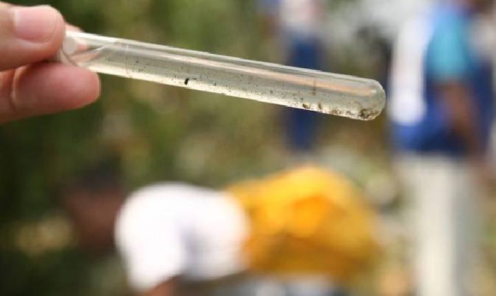 Seis cidades da Bahia estão em epidemia de dengue, confirma Sesab