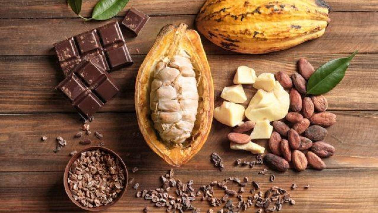 Senado aprova teor mínimo de cacau em chocolate; projeto segue agora para sanção presidencial