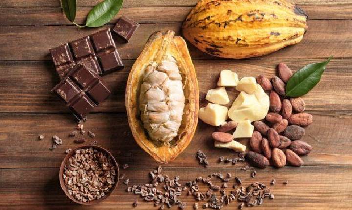Senado aprova teor mínimo de cacau em chocolate; projeto segue agora para sanção presidencial