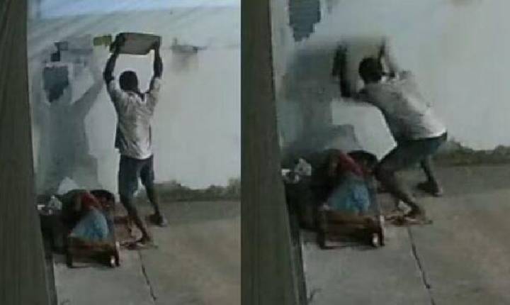 Galeria de Imagem