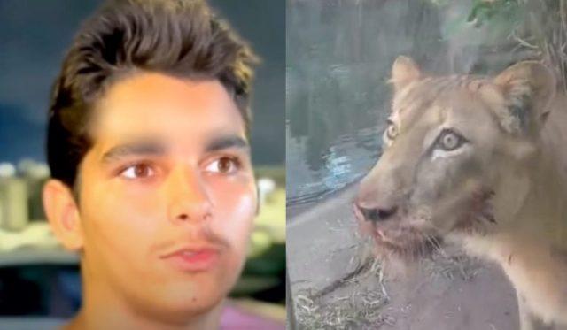 Jovem morto por leoa na Paraíba foi preso 10 vezes e havia sido solto dois dias antes de invadir jaula