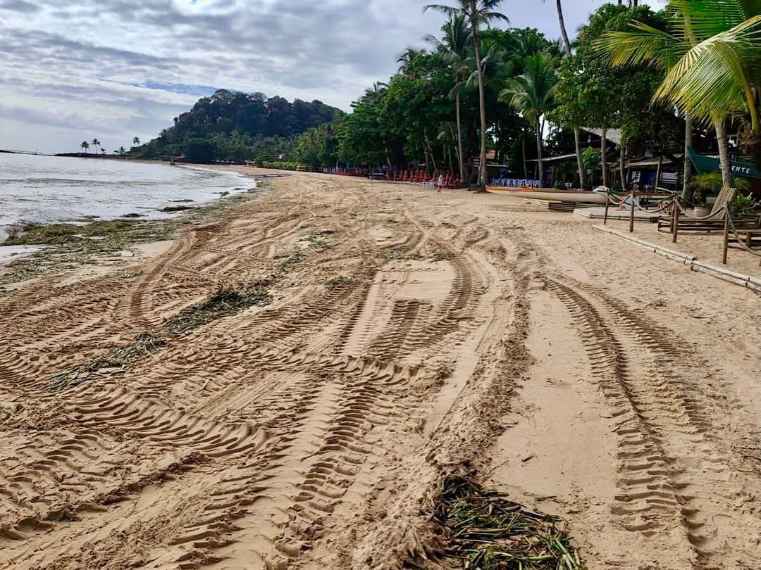 Prefeitura intensifica retirada de baronesas nas margens do Rio de Contas após aumento do volume de água