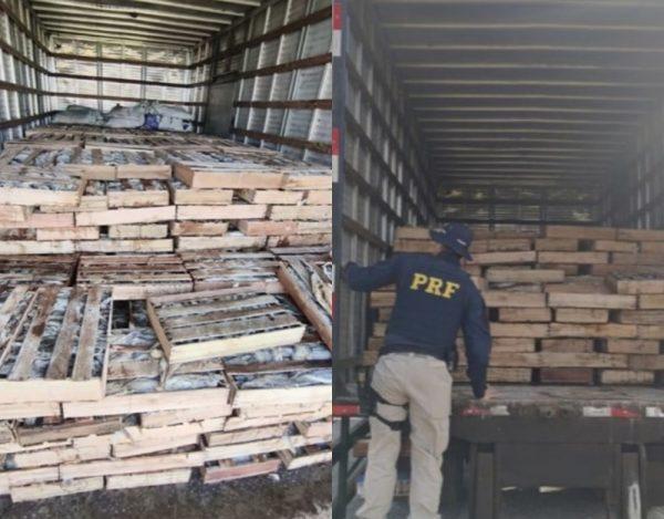 PRF apreende 9 toneladas de peixe transportado de forma irregular na Bahia