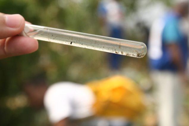 Seis cidades da Bahia estão em epidemia de dengue, confirma Sesab